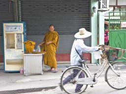 IMG_8729
