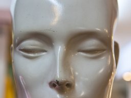 IMG_9960